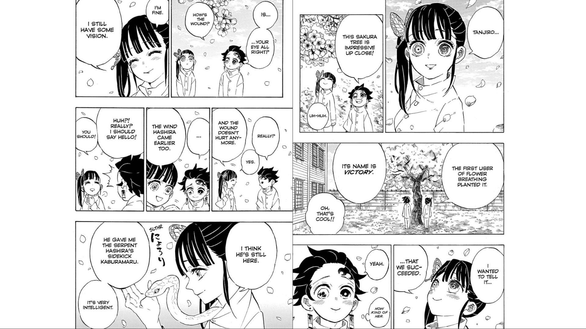 Tanjiro and Kanao smiling after the battle was over in chapter 204 of the Demon Slayer manga (Image via Shueisha)